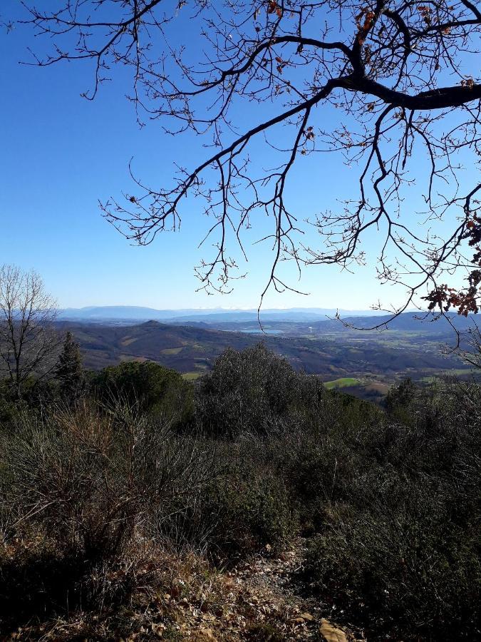 Il Vecchio Frantoio Villa Panicale Eksteriør bilde