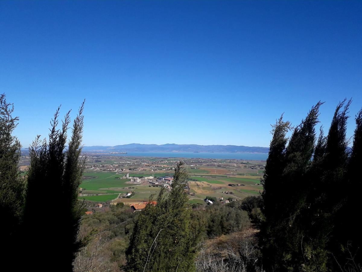 Il Vecchio Frantoio Villa Panicale Eksteriør bilde